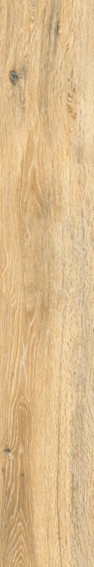 2026_07_18_909142
